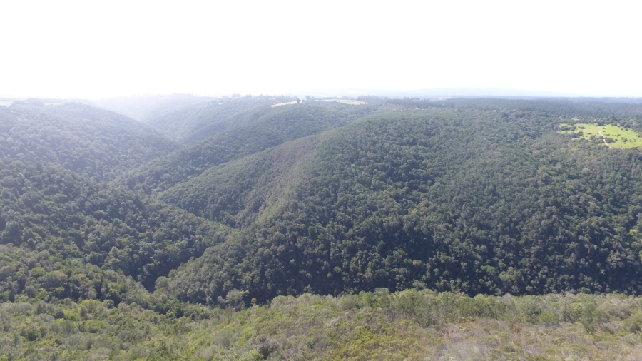  Bedroom Property for Sale in Knysna Rural Western Cape